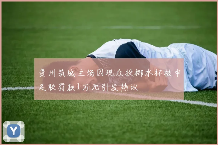 贵州筑城主场因观众投掷水杯被中足联罚款1万元引发热议