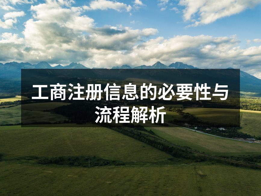 工商注册流程示意图