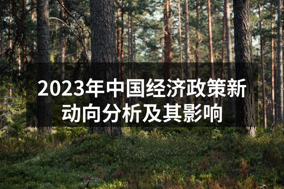 中国经济政策分析