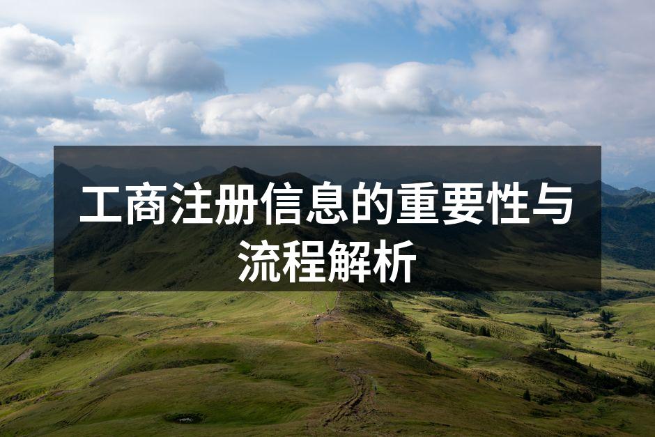 工商注册流程示意图