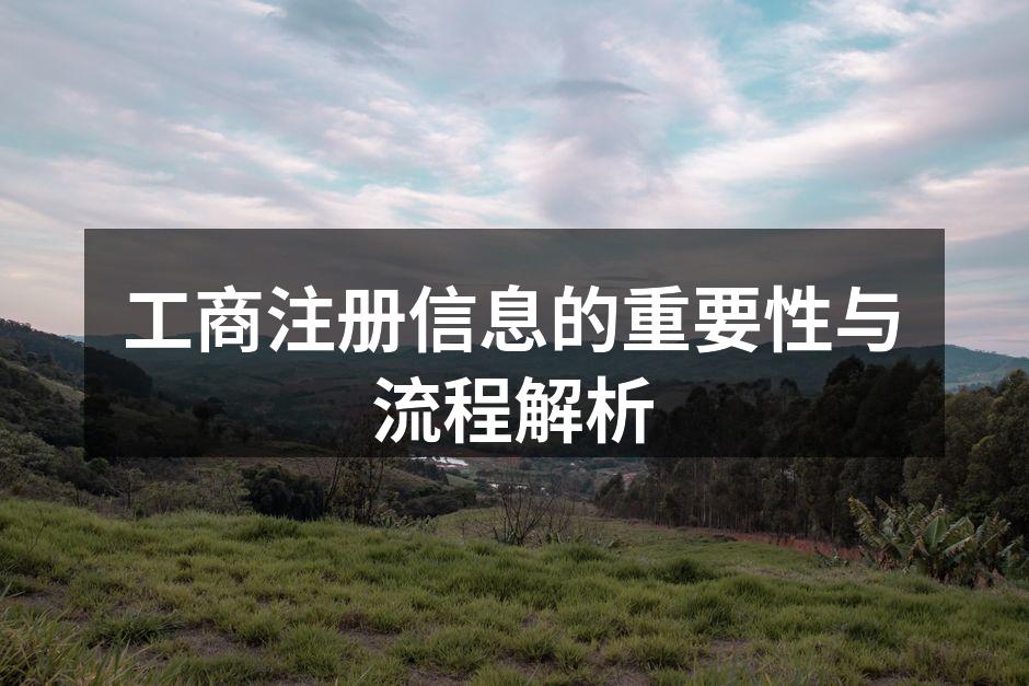 工商注册过程示意图