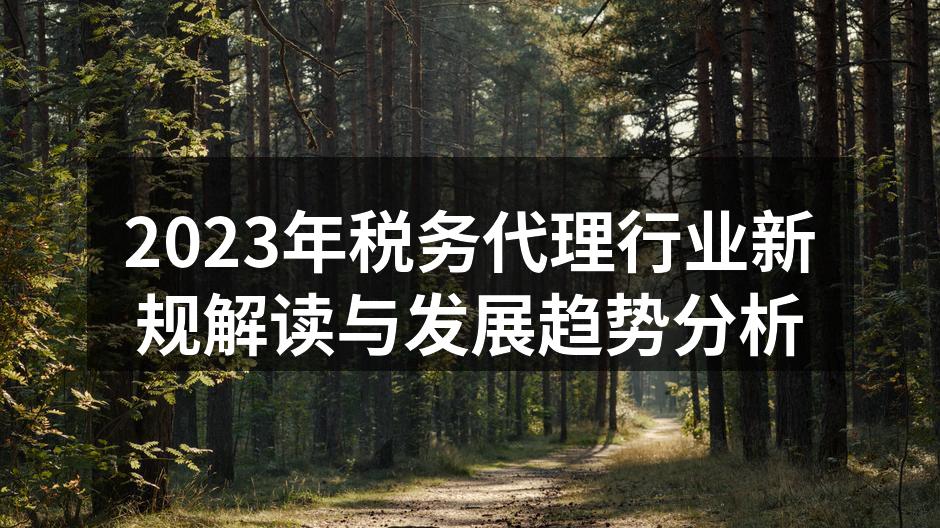 税务代理服务现场