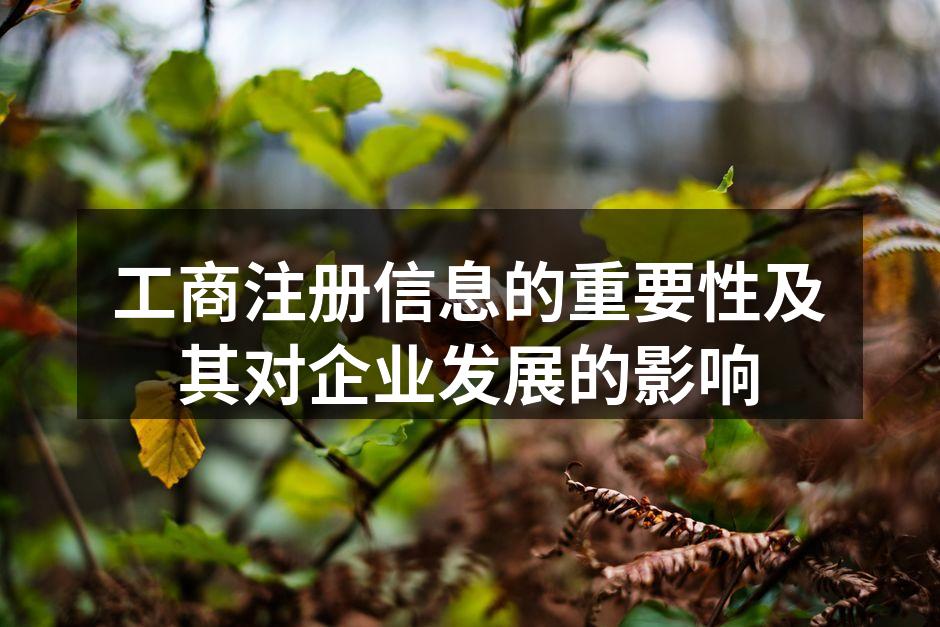 工商注册流程图示