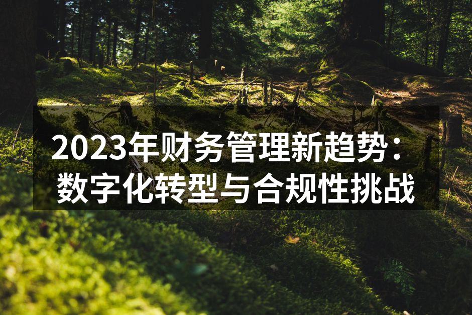 数字化财务管理流程示意图