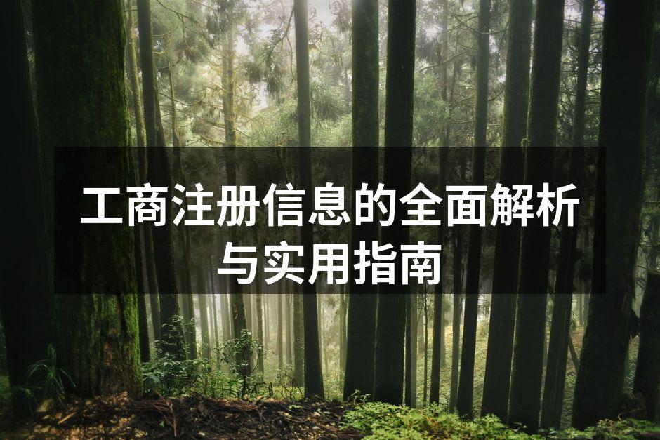 工商注册流程图示