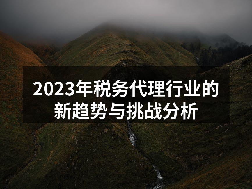 税务代理行业的快速发展趋势