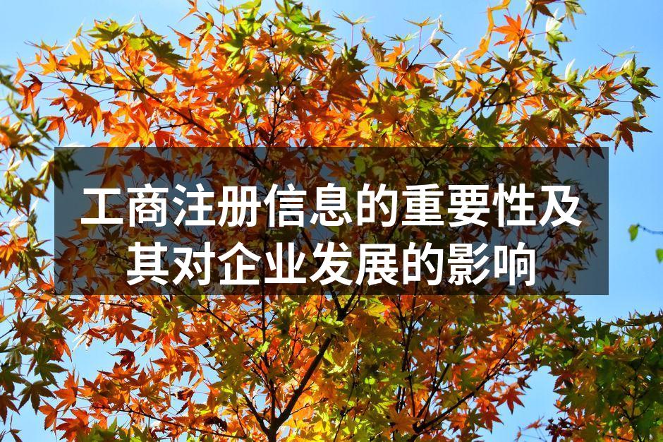 工商注册信息概览